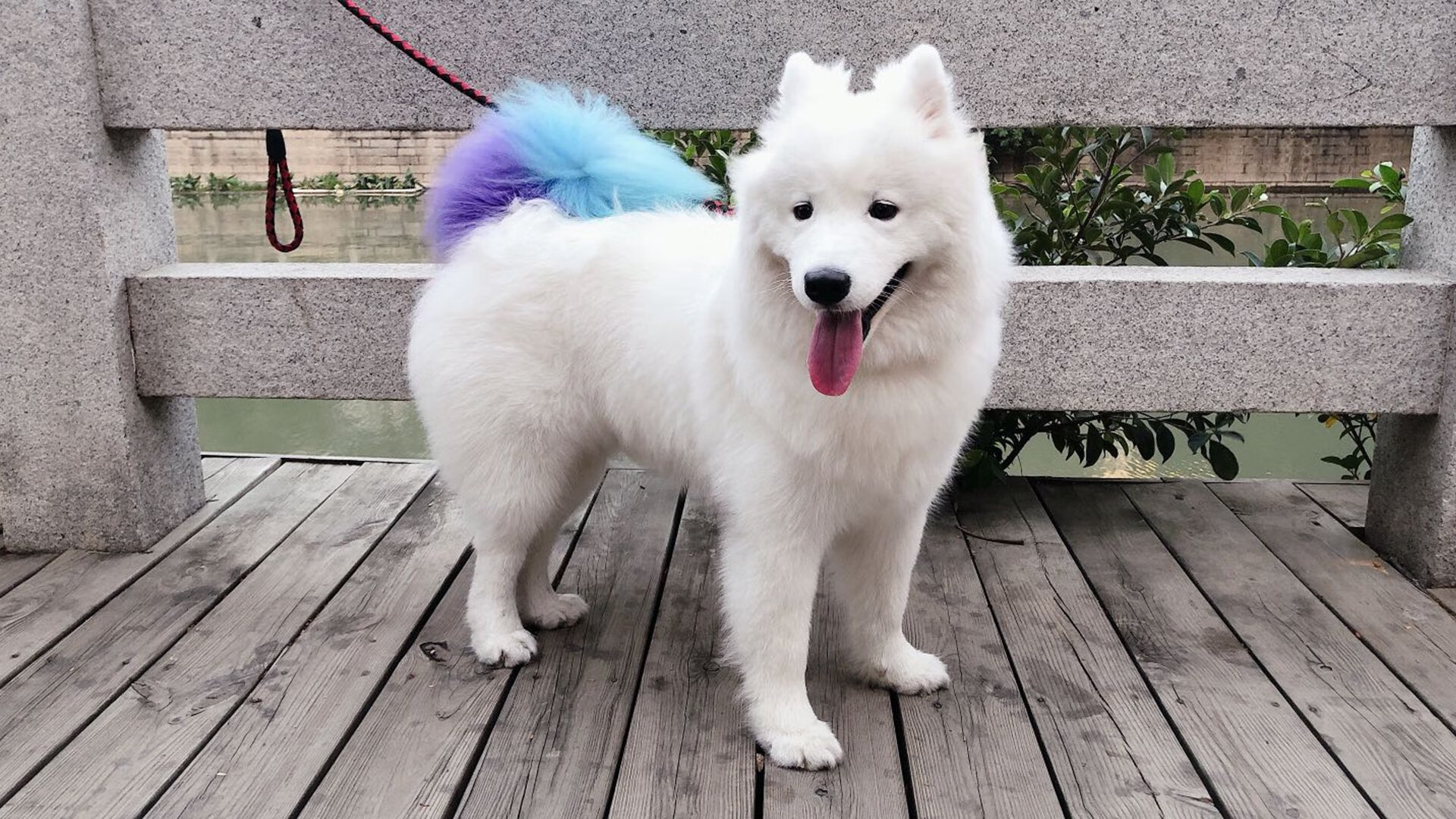 开云体育在线官网-高校运动训练负荷监测技术应用研究，运动负荷检测与分析