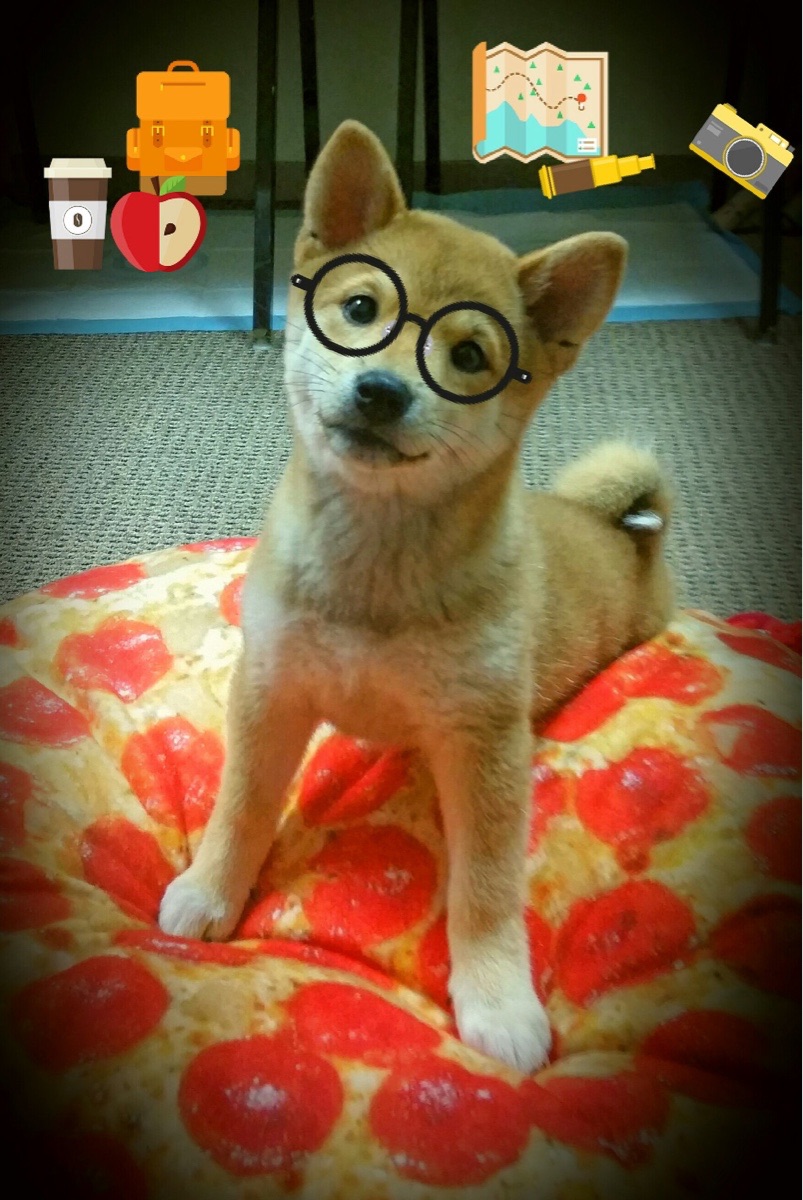 开云体育app入口-中国男篮体能训练升级 适应高强度赛事需求，中国男篮体能不够