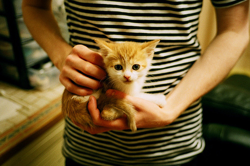 开云在线入口-中国男篮控球能力增强 改善进攻效率，中国男篮控卫