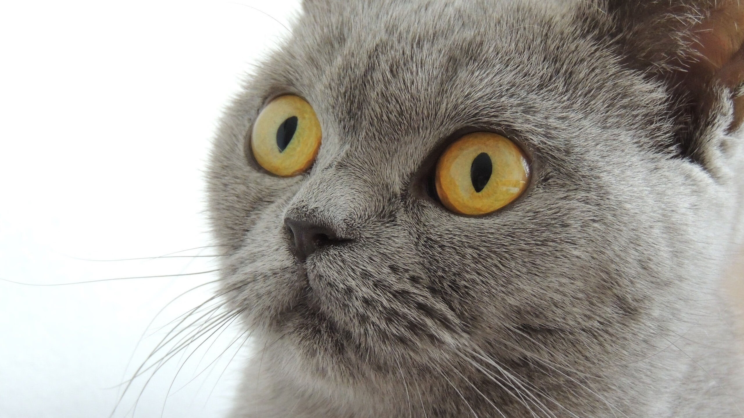 开云体育在线官网-体育新闻中心发布体育内容原创质量自动评估工具，体育质量检测是什么