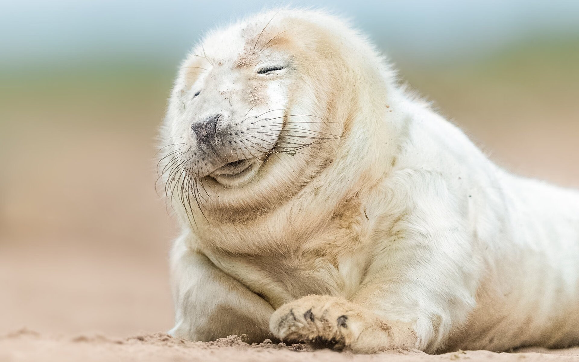 开云体育在线官网-体育新闻中心发布体育内容原创质量自动评估工具，体育质量检测是什么