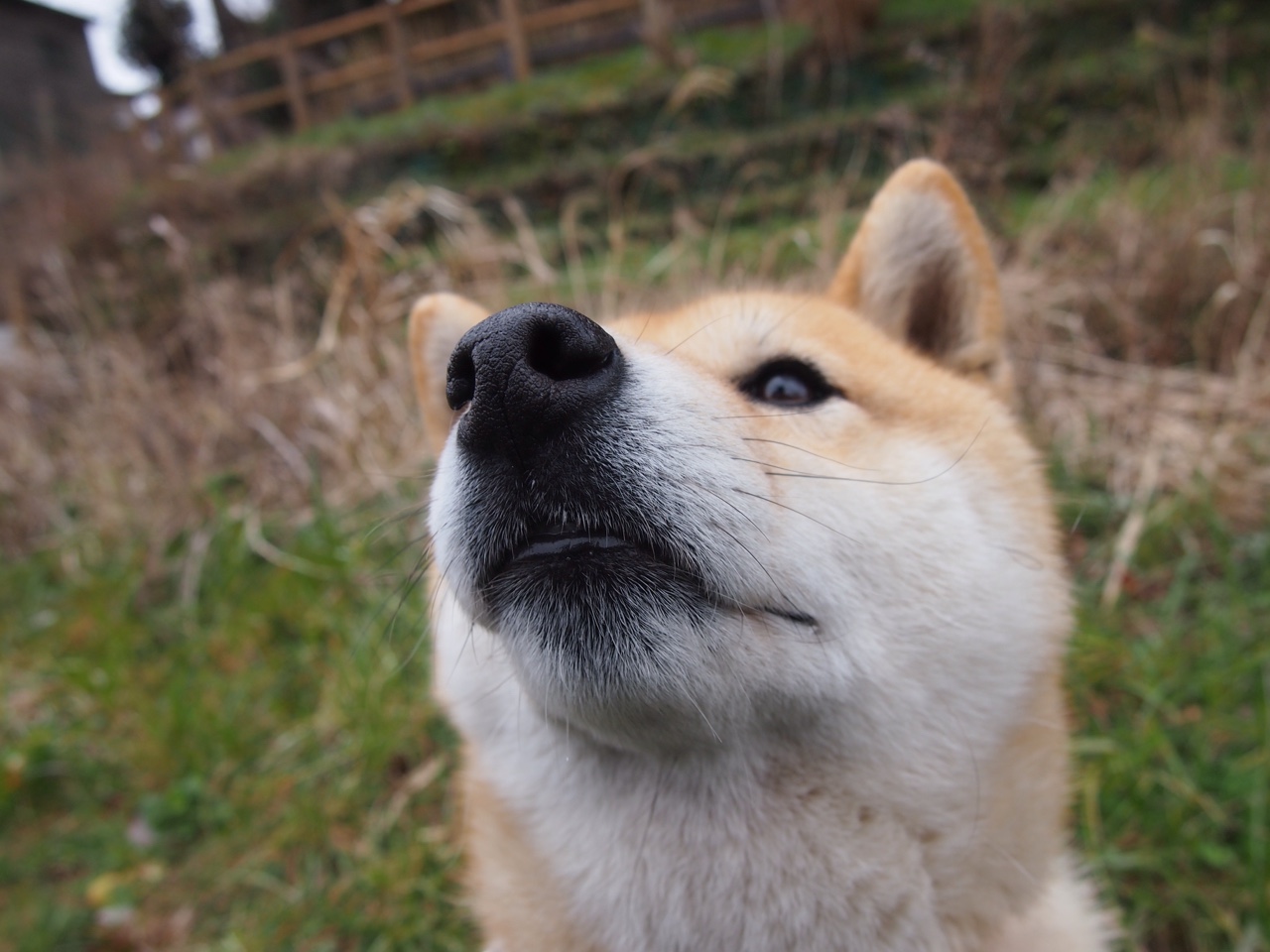 开云体育官网app-加拿大队在国际乒联混合团体世界杯中的心理素质与比赛表现，加拿大乒乓球参赛选手