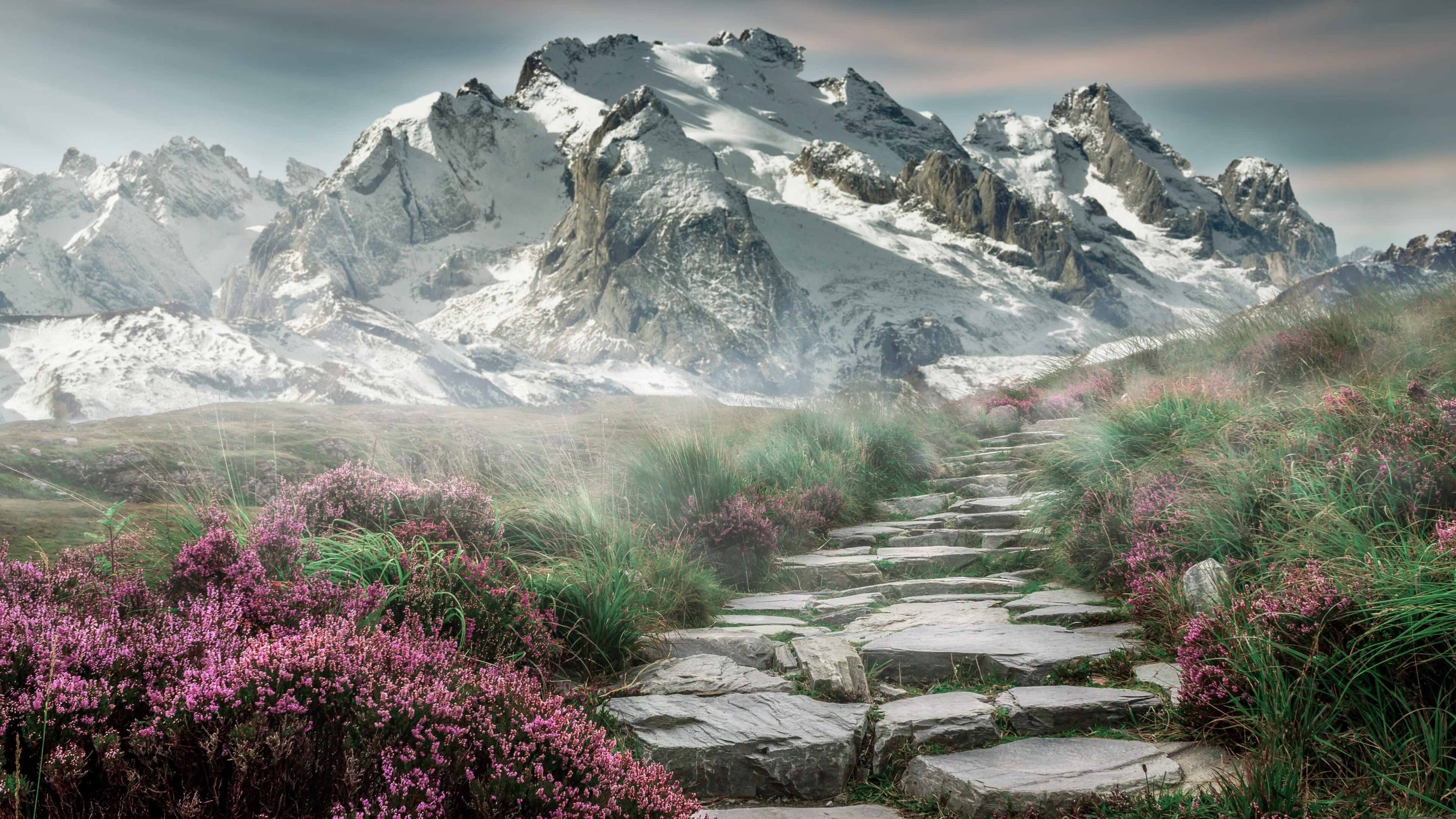 开云体育app在线-桑普多利亚双中卫联手封堵对手射门