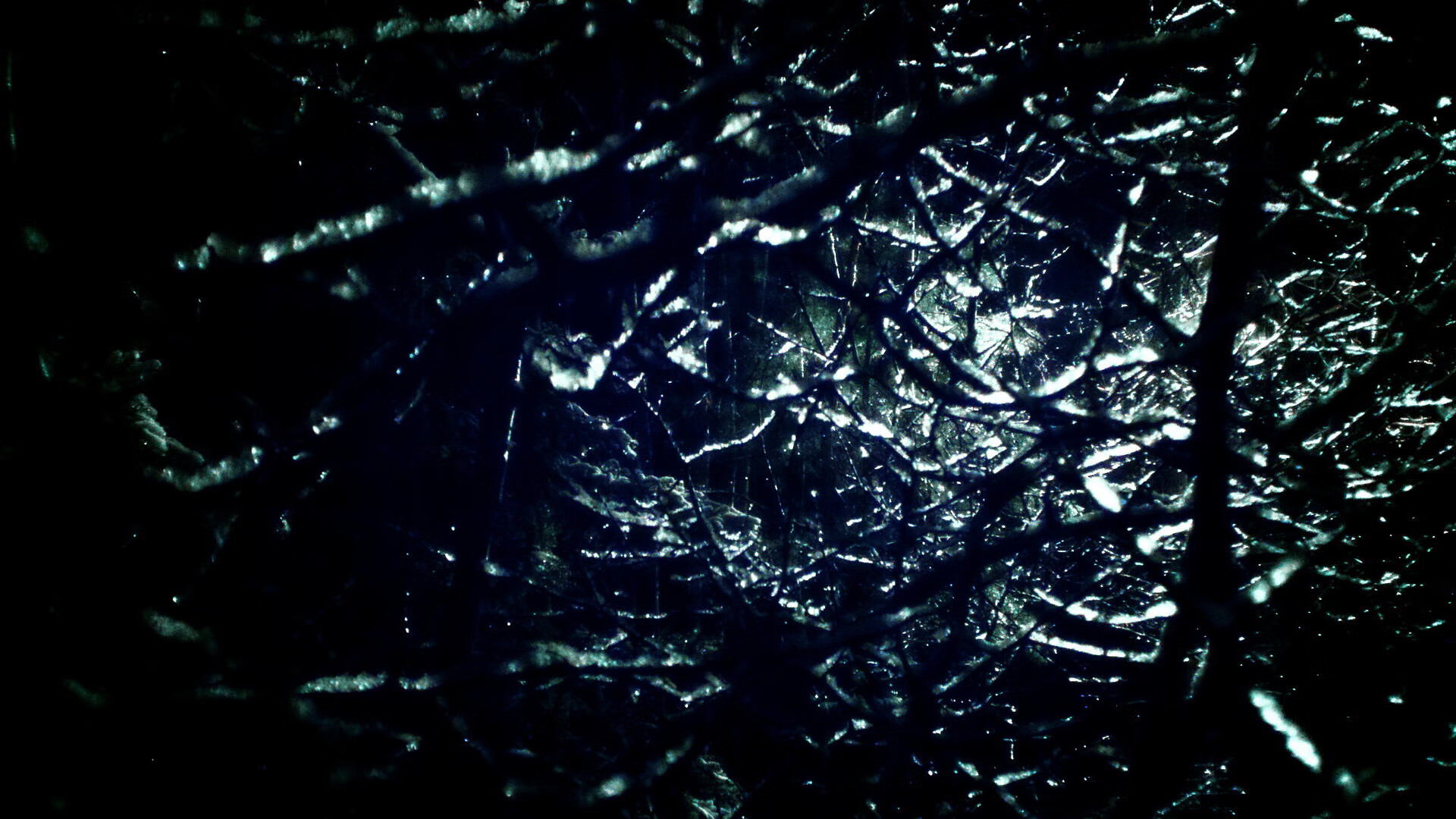 开云在线入口-“马丁·高尔西引领美洲狮队防守革命，全面崛起”