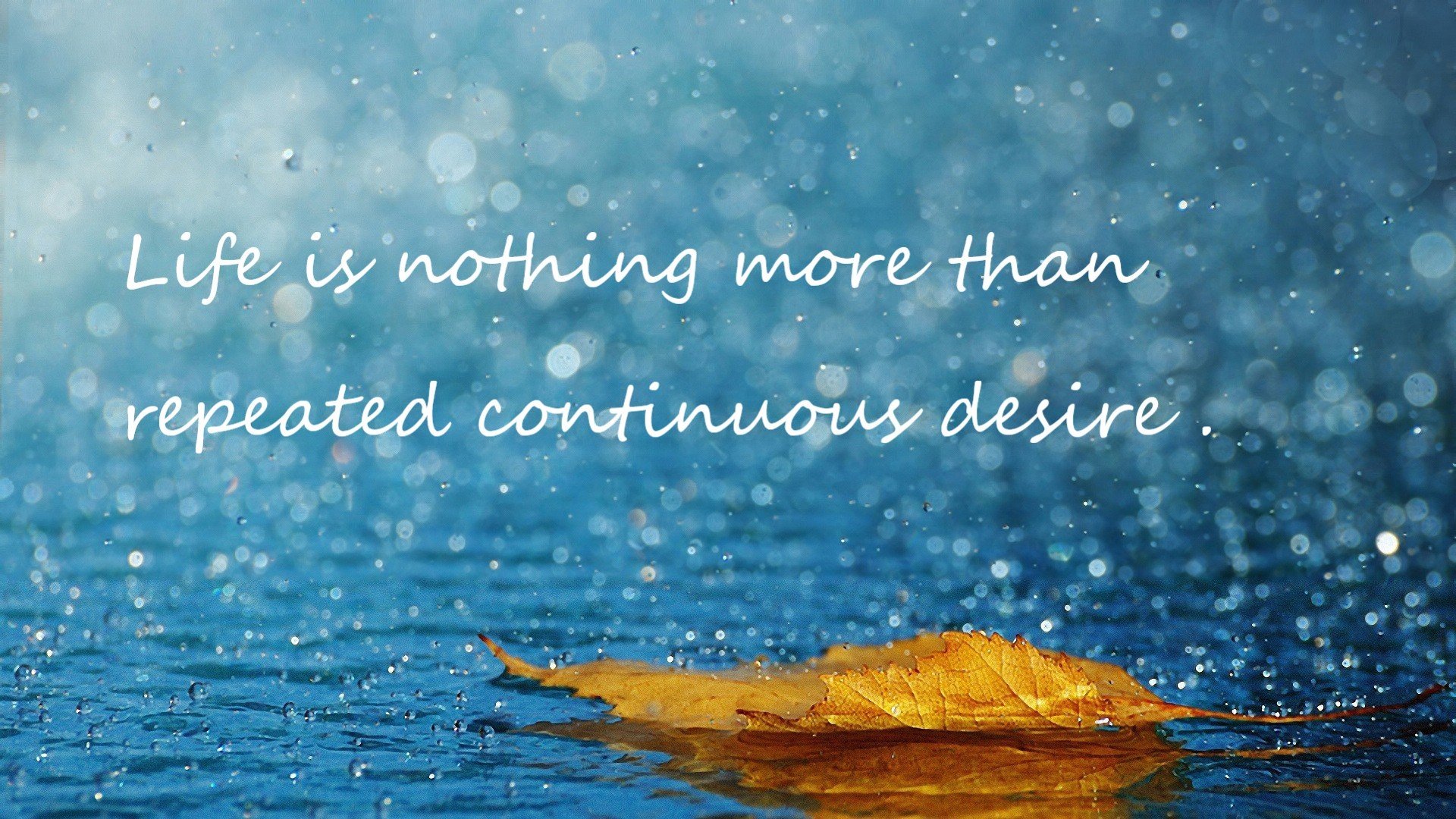 开云体育登录-仰泳选手滑行延长，动作连贯，仰泳划水路线