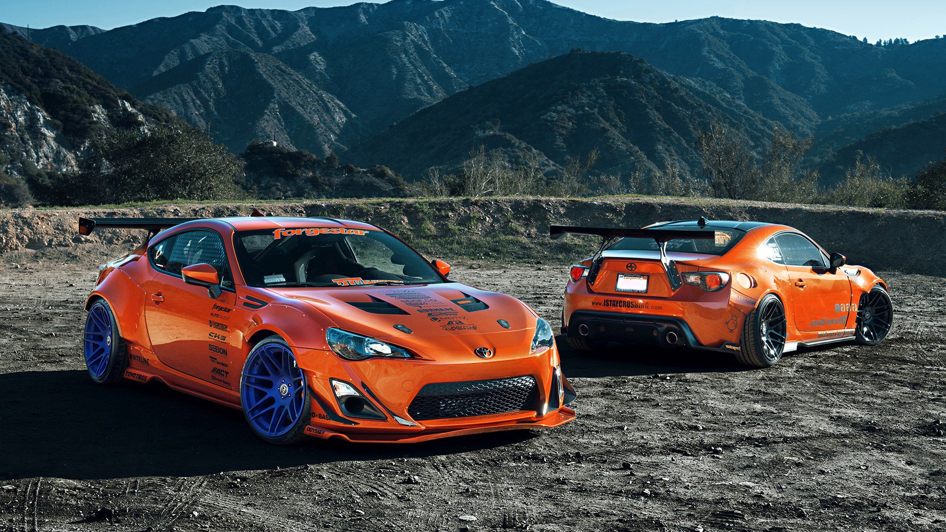 开云体育官网登入-体育品牌加大投入布局高校市场，学校体育品牌