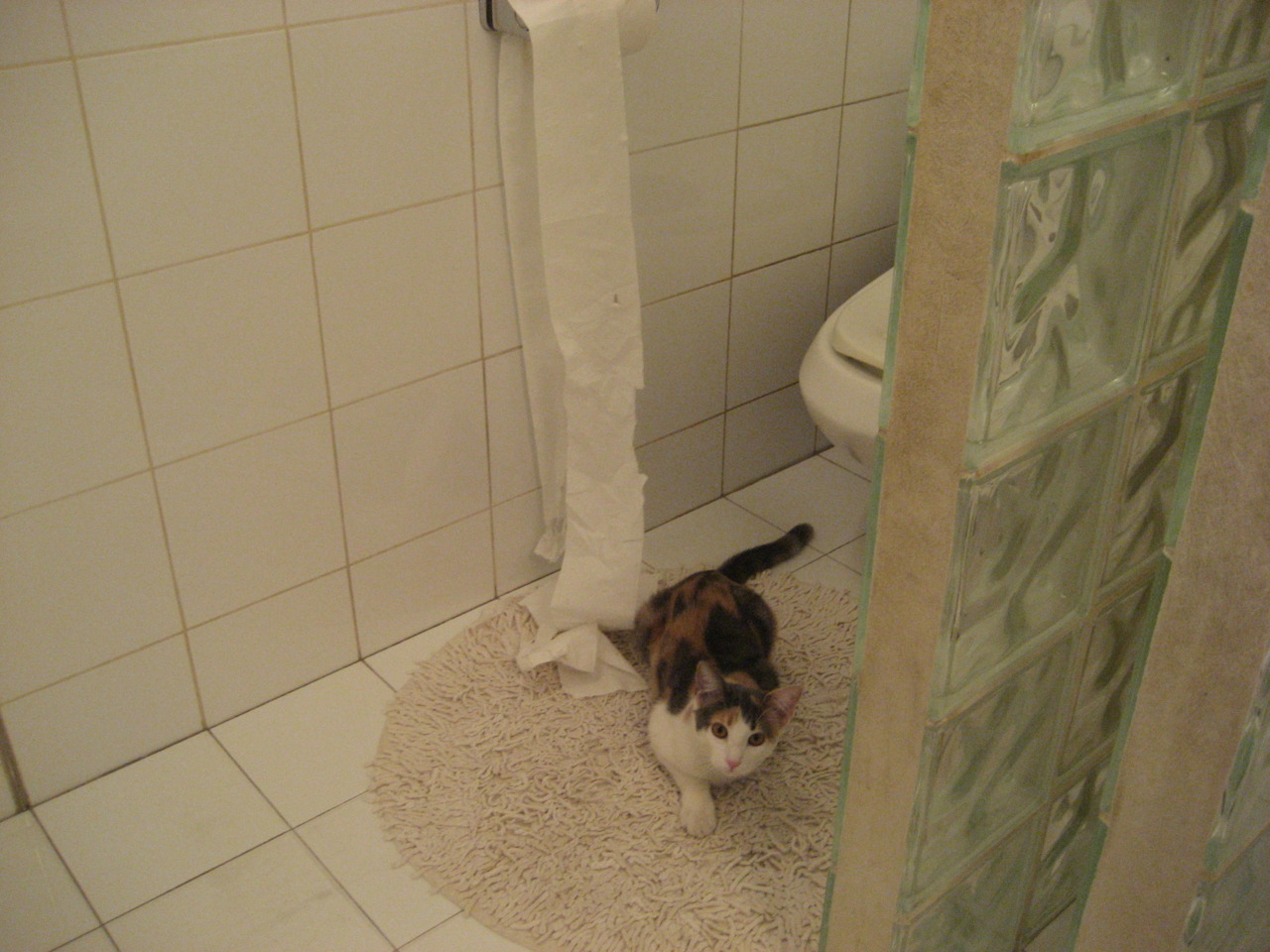 开云体育官网app-国际篮球邀请赛 世界强队同场竞技，国际篮球联赛时间