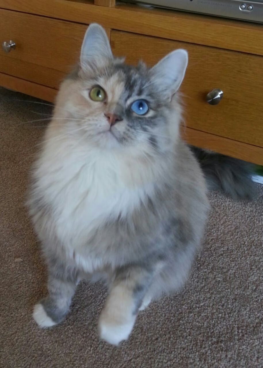 开云体育网址-地方篮球协会加大赛事投入助力地区篮球氛围提升，地方篮协怎么运营