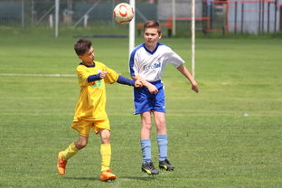 开云在线登入-塞尔维亚男篮在欧洲预赛中奋勇前进，冲击奥运荣耀，塞尔维亚男子足球队欧洲杯