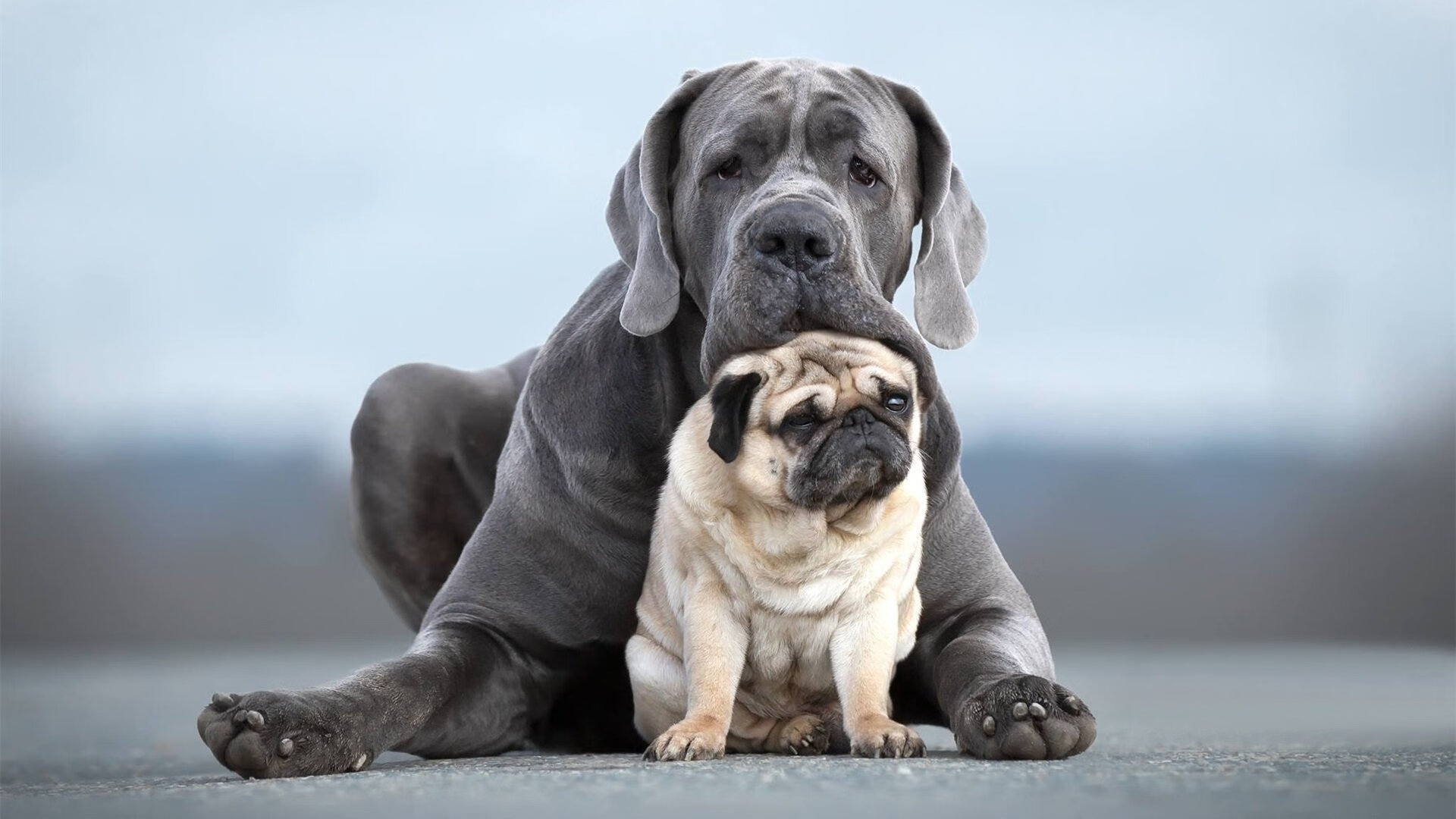 开云ky官网-女子篮球设立特训小组攻克关键技术短板，女子篮球训练计划项目