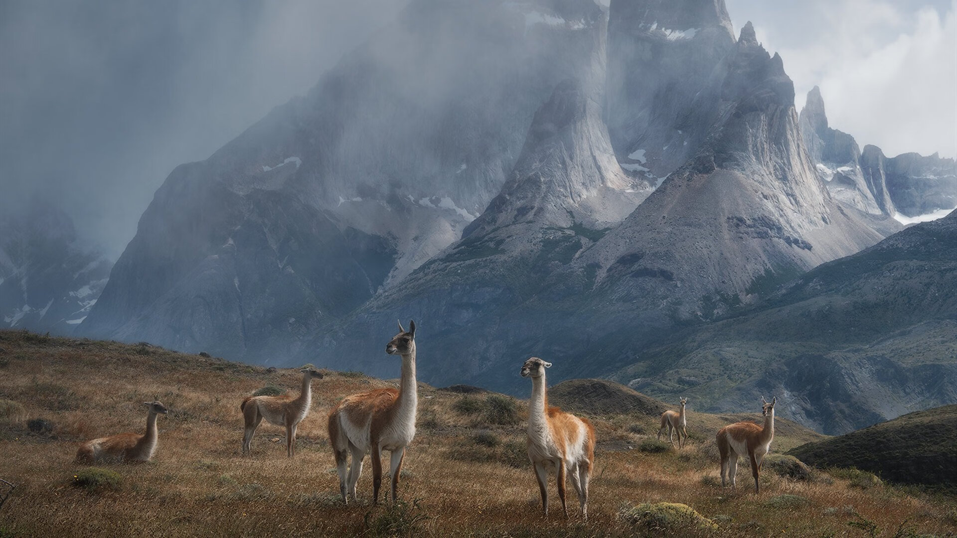 开云在线入口-巴特尔的全场防守表现帮助袋鼠队抵挡住强大压力,nba巴特尔