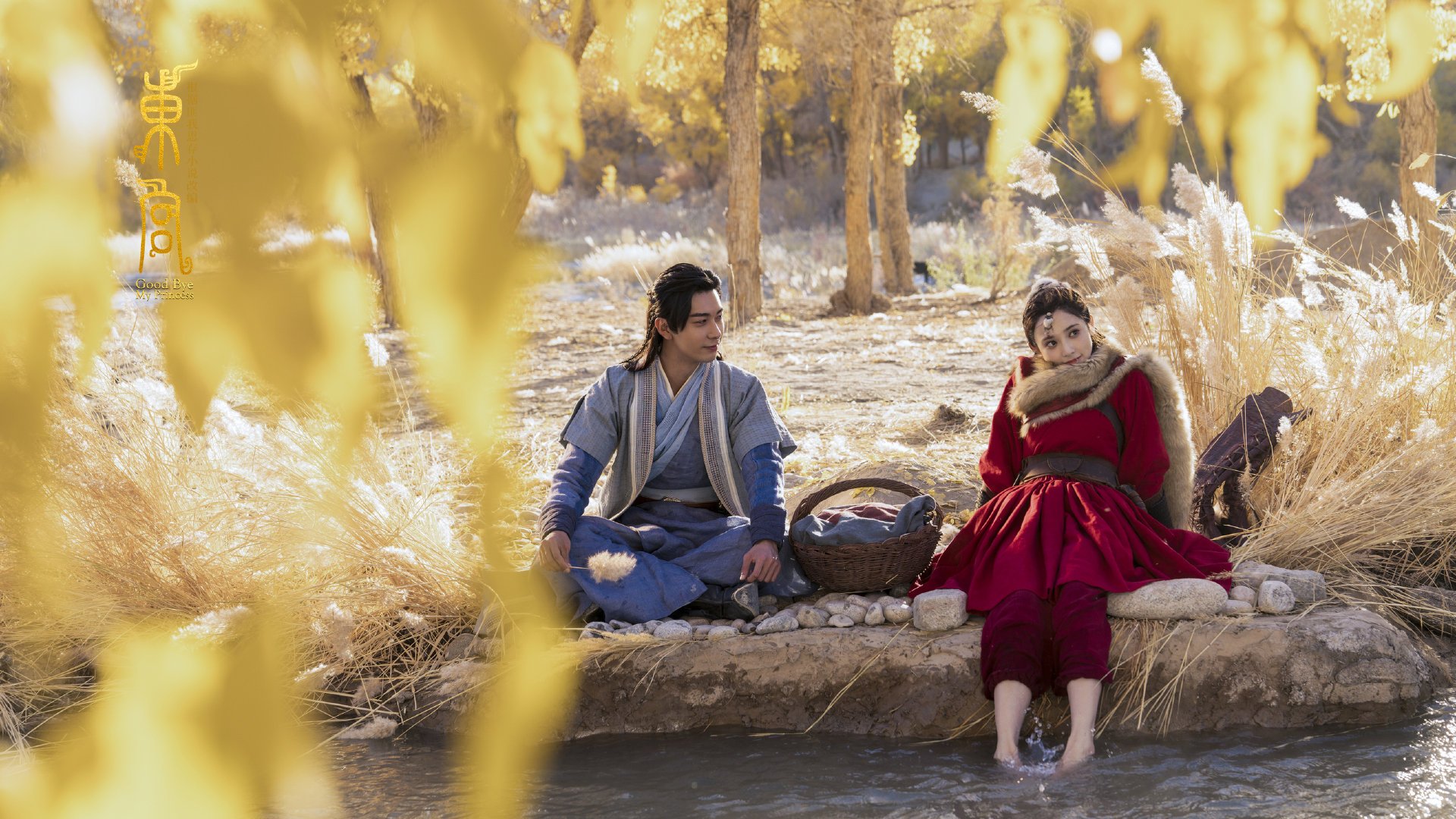 开云体育在线下载-布克单场五十加太阳教练战术奏效，布克续约太阳