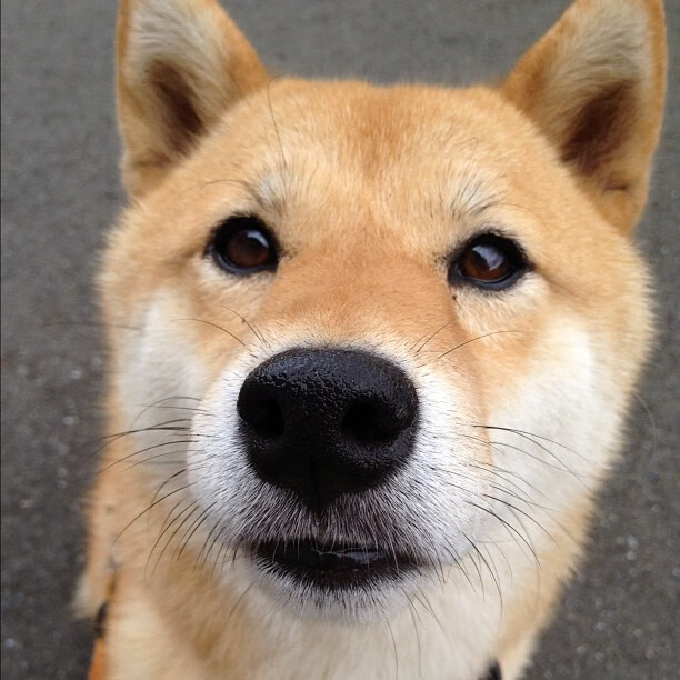 开云体育官网app-福特:随着比赛经验的积累,逐渐成全黑队必不可少的球员,福特黑武士汽车图片