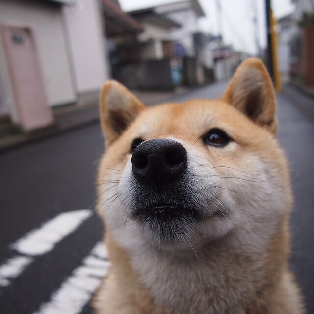 开云体育在线入口-美洲杯压力之下:拼搏不止,精彩纷呈,美洲杯!
