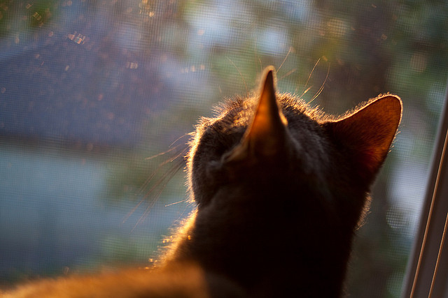 开云体育官网下载-专利药遭遇关税风暴，全球药企被“精准打击”